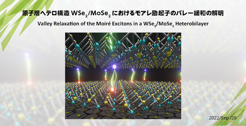 原子層ヘテロ構造WSe2/MoSe2におけるモアレ励起子のバレー緩和の解明