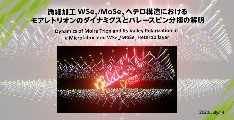  微細加工WSe<sub>2</sub>/MoSe<sub>2</sub>ヘテロ構造におけるモアレトリオンのダイナミクスとバレースピン分極の解明