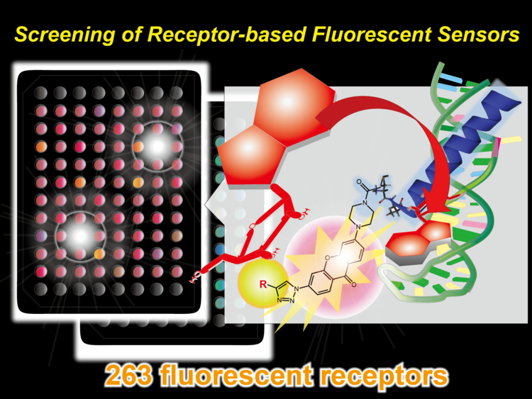 12A_diversity-oriented_library_of_fluorophore-modified_receptors.png