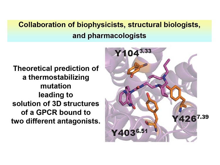 14_Structural_Insights_into_the_Subtype.png