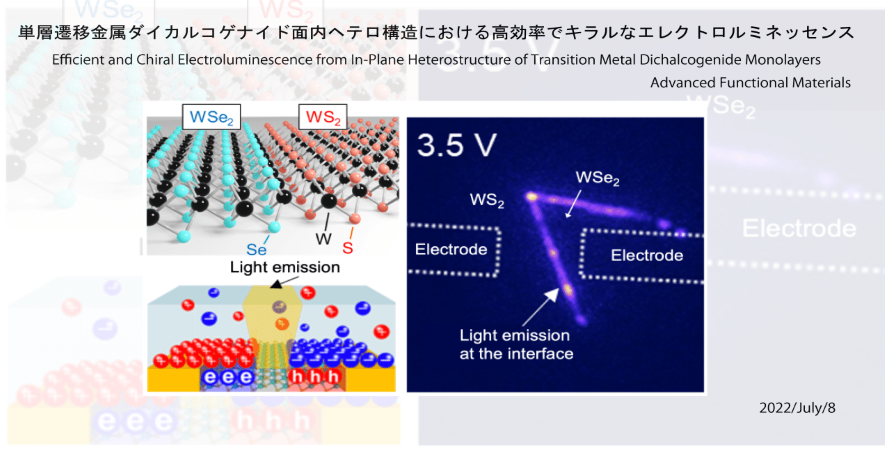 Efficient and Chiral Electroluminescence from In-Plane Heterostructure of Transition Metal Dichalcogenide Monolayers