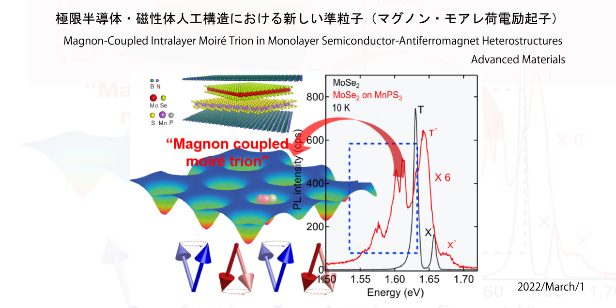 極限半導体・磁性体人工構造における新しい準粒子