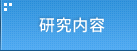 研究内容