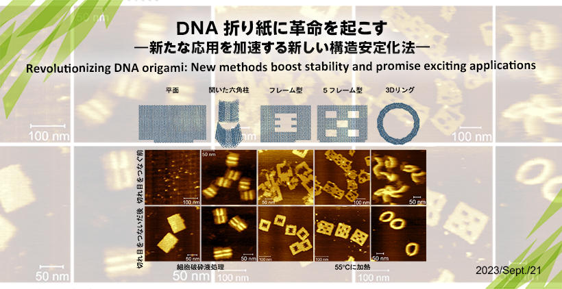 DNA折り紙に革命を起こす ―新たな応用を加速する新しい構造安定化法―