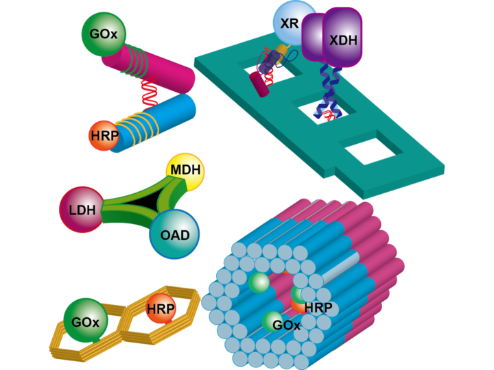 07ChemBioChem-TOC Graphics_2017.png