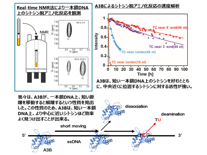 08ACS Chemical Biology.png