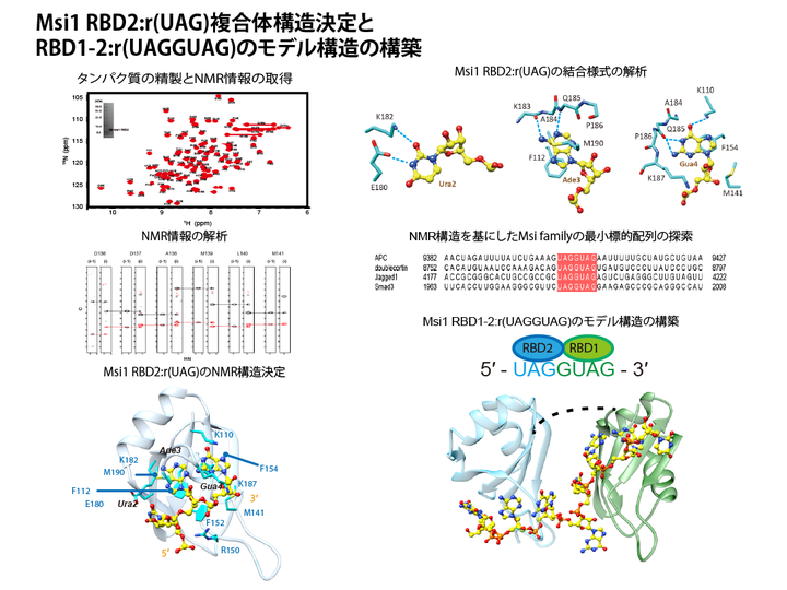 08Molecules.png