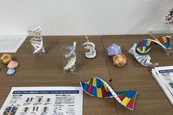 s-S2018-10-28 11.16.44_2.jpg