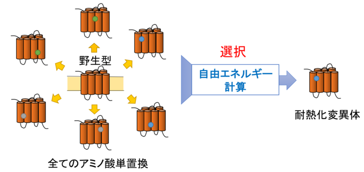 14.Nature Chemical Biology_1.png