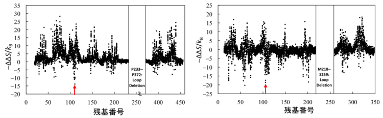 14.Nature Chemical Biology_2.png