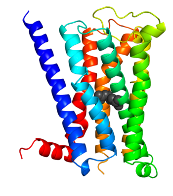 14.Nature Chemical Biology_3.png