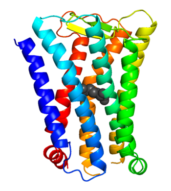 14.Nature Chemical Biology_4.png