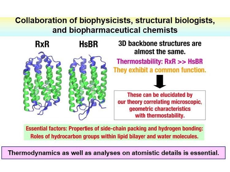 13.How Does a Microbial Rhodopsin.jpg