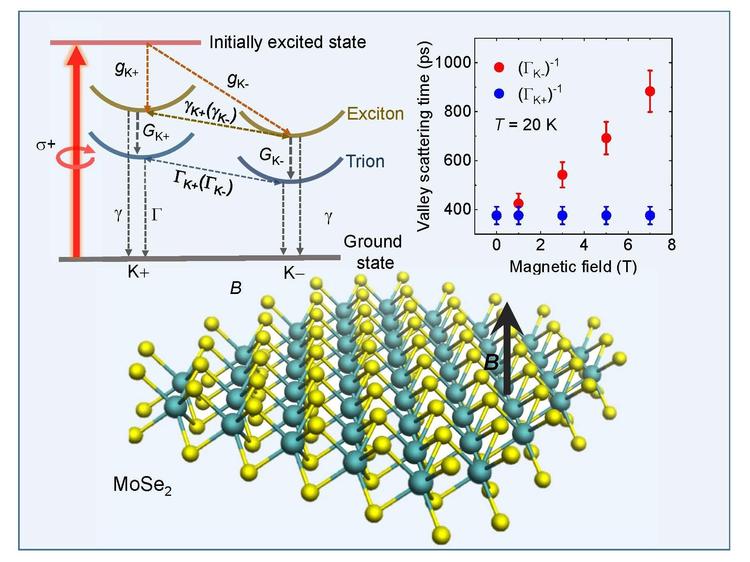 Magnetic Field Induced_03.jpg