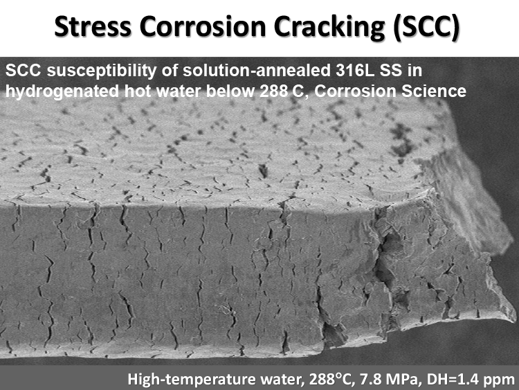 07.SCC susceptibility.png