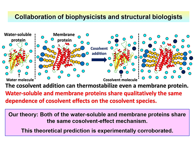 13.Elucidation of Cosolvent Effects.png