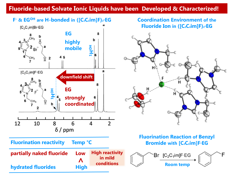 13.Partially Naked Fluoride.png