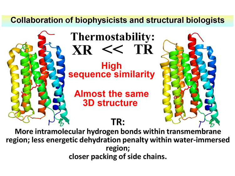 14.Analyses Based on Statistical Thermodynamics.png