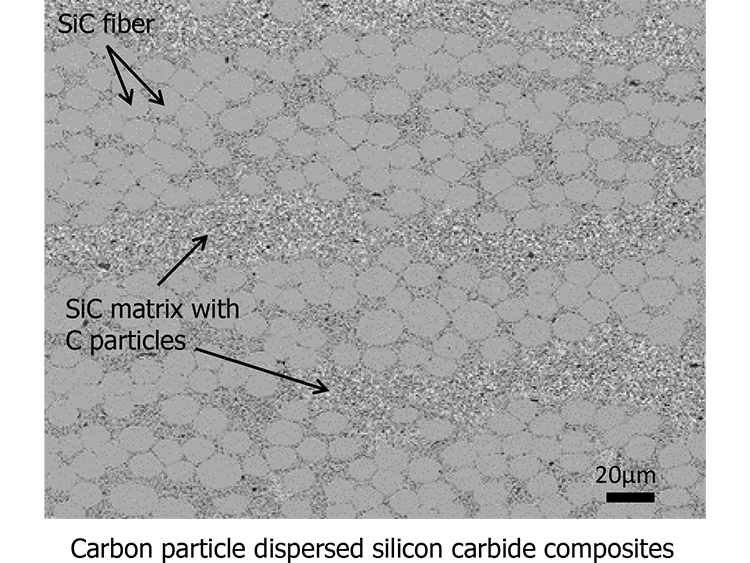 C_particle_SiC_composites.png