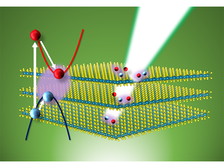 Direct_and_indirect_exciton_dynamics.png