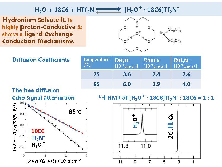 TOC_HydroniumSolvateIonicLiquid.png