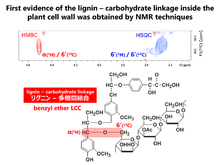 13.Direct evidence for α ether linkage