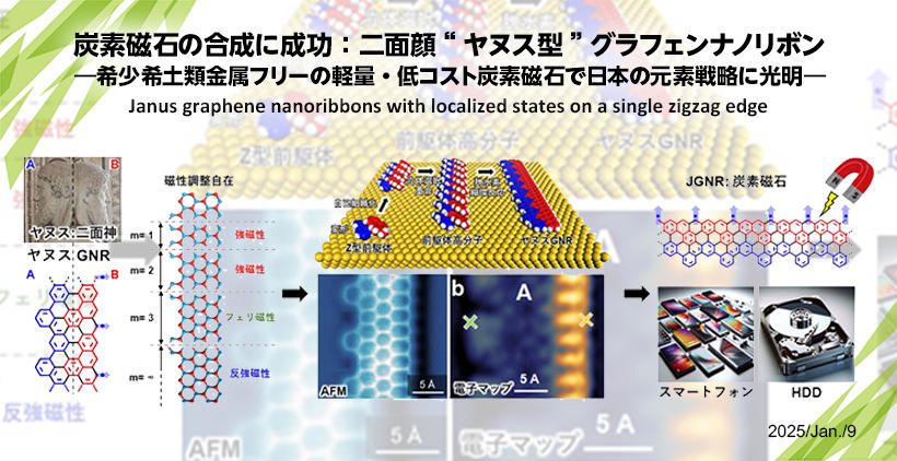 Janus graphene nanoribbons with localized states on a single zigzag edge