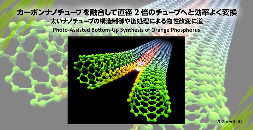 機能物性工学 カーボンナノチューブを融合して直径2倍のチューブへと効率よく変換―太いナノチューブの構造制御や後処理による物性改変に道―